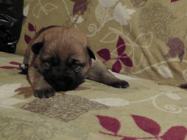 Маленький чудик)))