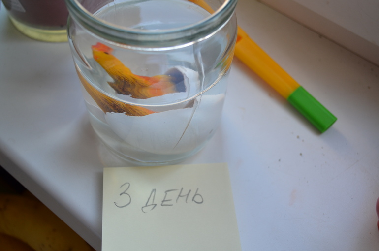 Чистый четверг...