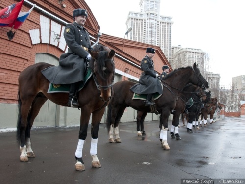 Работа моей мечты!!!