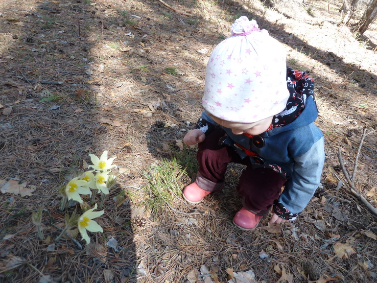 А мы опять в лесок сгоняли)))