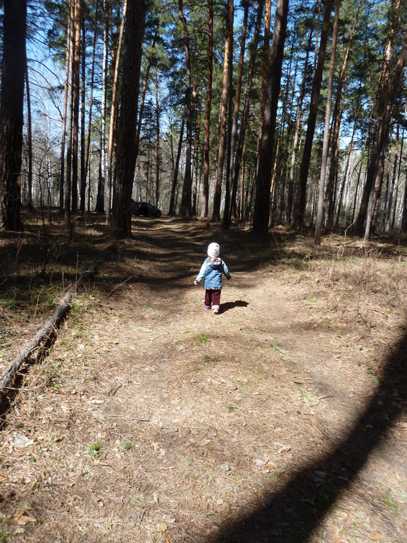 А мы опять в лесок сгоняли)))