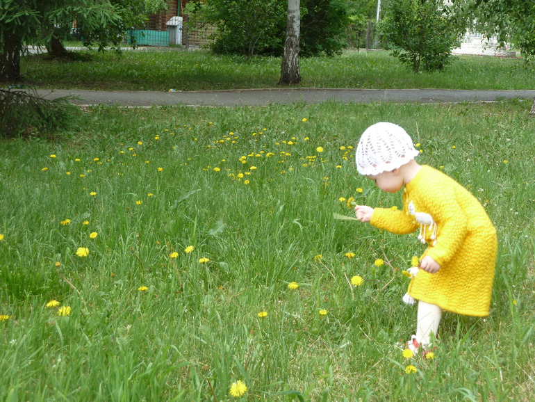 Желтые летние зарисовочки))