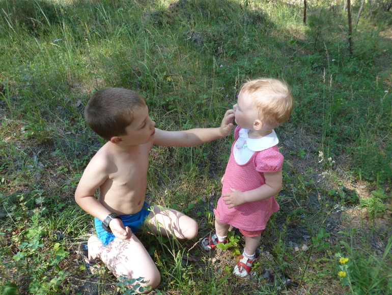 Солнце, лес, шашлыки и ... земляника)))