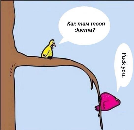 День 6. Физические нагрузки, ч. 2