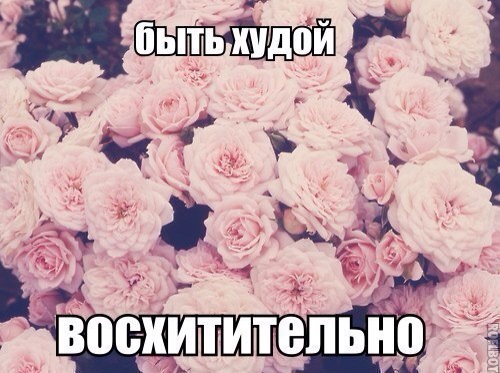 МС. День 21. Делим продукты на порции