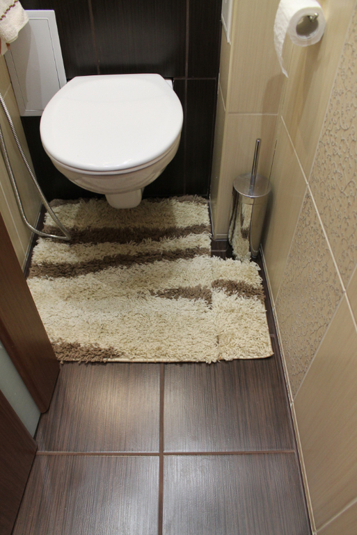 моя ванная и туалет