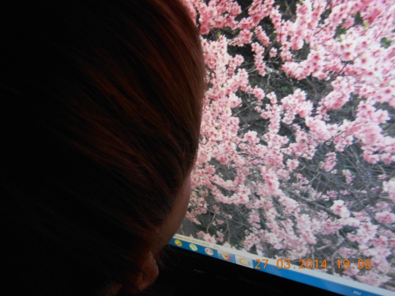 Отчет ТН "Весна-2" День 3