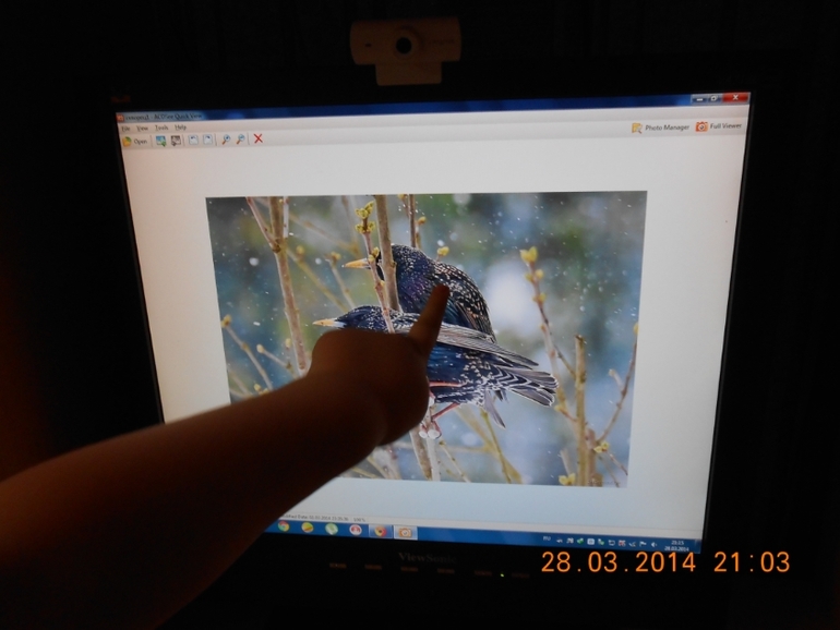 Отчет "Весна 2" день 4