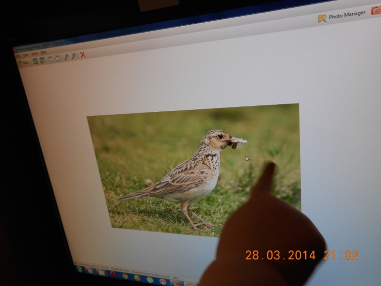 Отчет "Весна 2" день 4