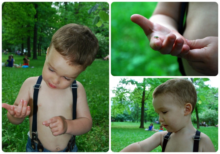 Беговелогонка в Красной Пахре