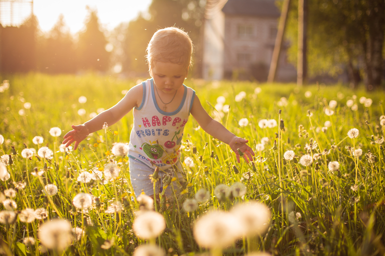 Съемка против солнца. Что вышло?