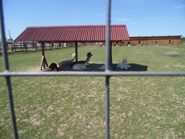 Устроили мальчишкам выходной))