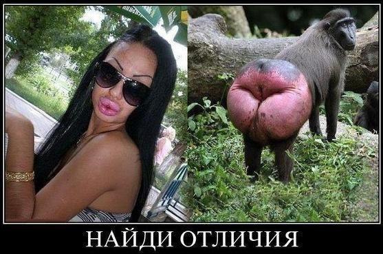 Быть Джоли али не быть?))