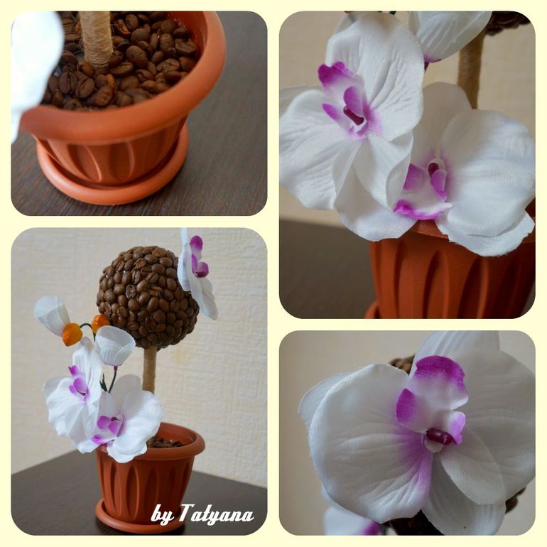 Кофе и орхидея
