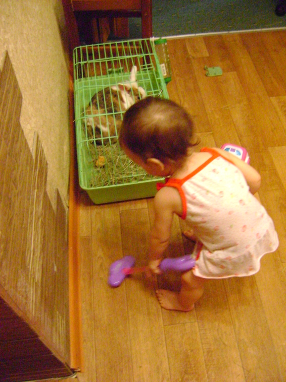 Спасибо Фее Виктории