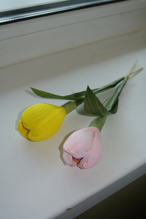 Первые тюльпаны