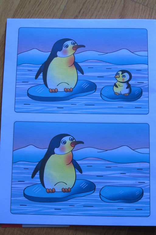 ТН Арктика и Антарктика. День 5