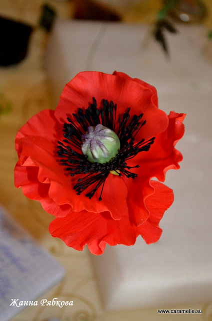 Курсы по сахарным цветам Жанны Рябковой