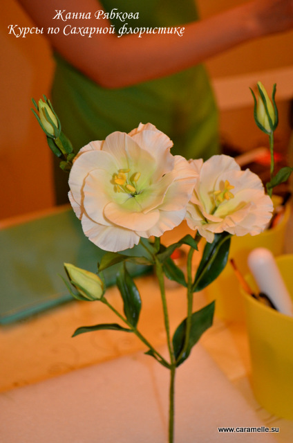 Курсы по Сахарной флористике Жанны Рябковой