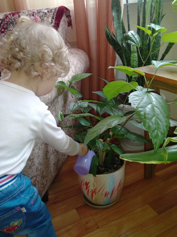 Монтессори-проект. День 1