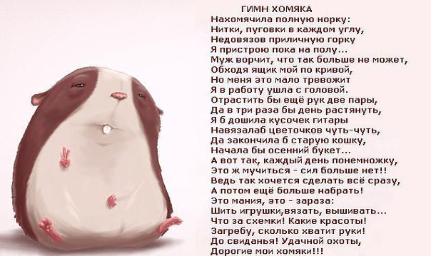 Гимн Хомяка!