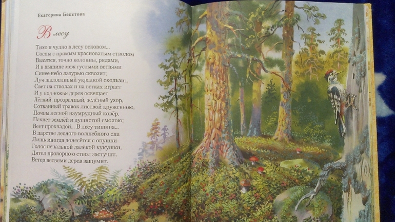 Книжное пополнение 1