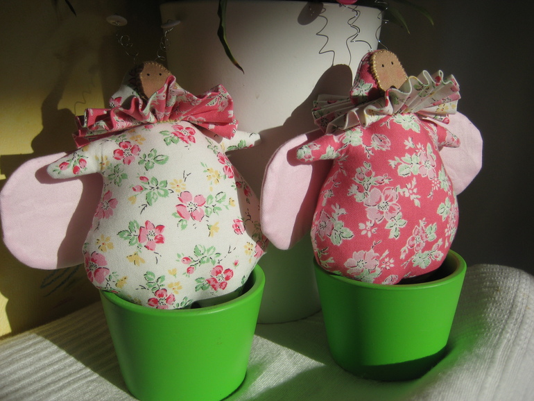 Жуки Тильда