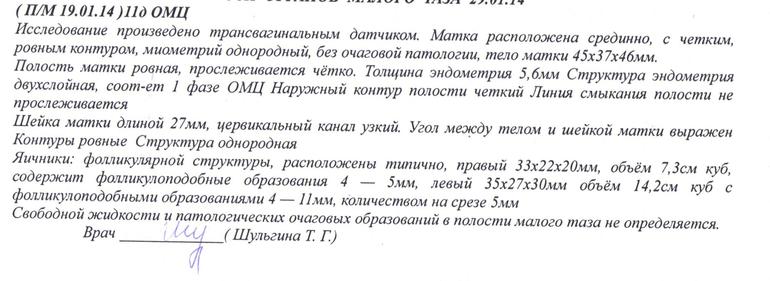 ВОзможна ли Овуляция