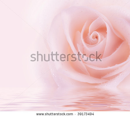 Фотообои! Какие?