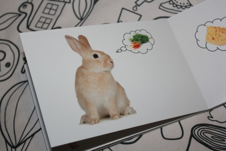 Книжка-игрушка 2 в 1