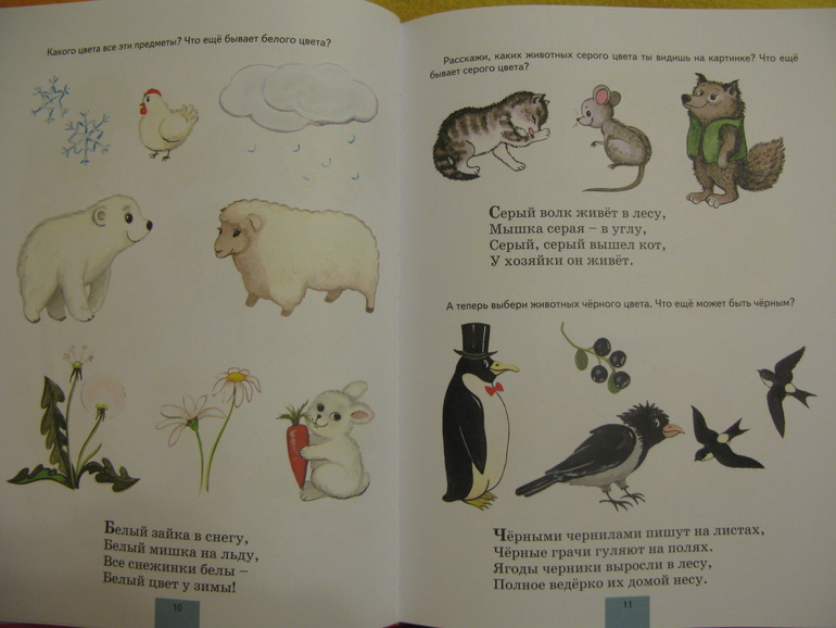 Наши развивалочки