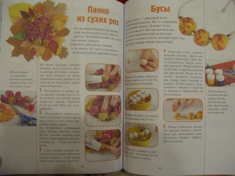 Книга поделки из растений Книга поделки из растений