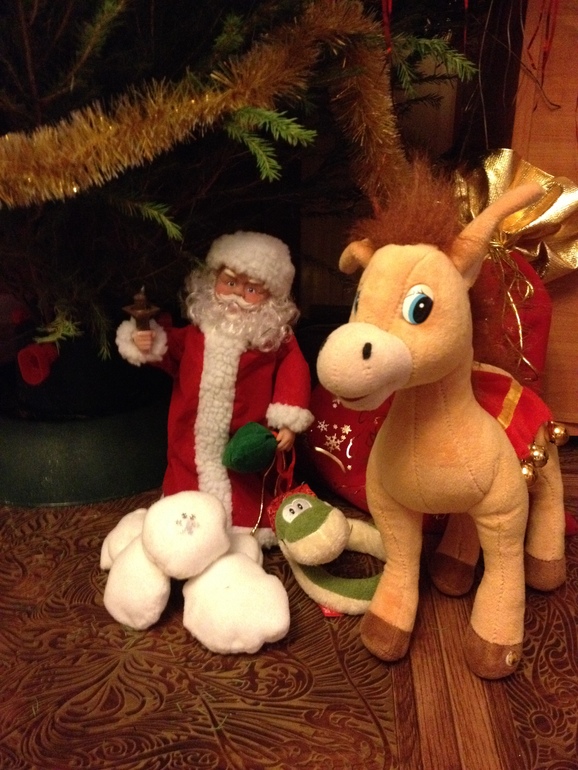 Рождественско-новогоднее путешествие