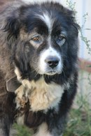 моя красотка)) Яра.