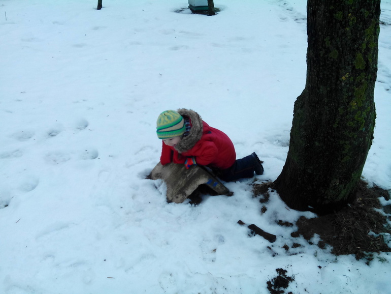 ФМ Фигуры Треугольник