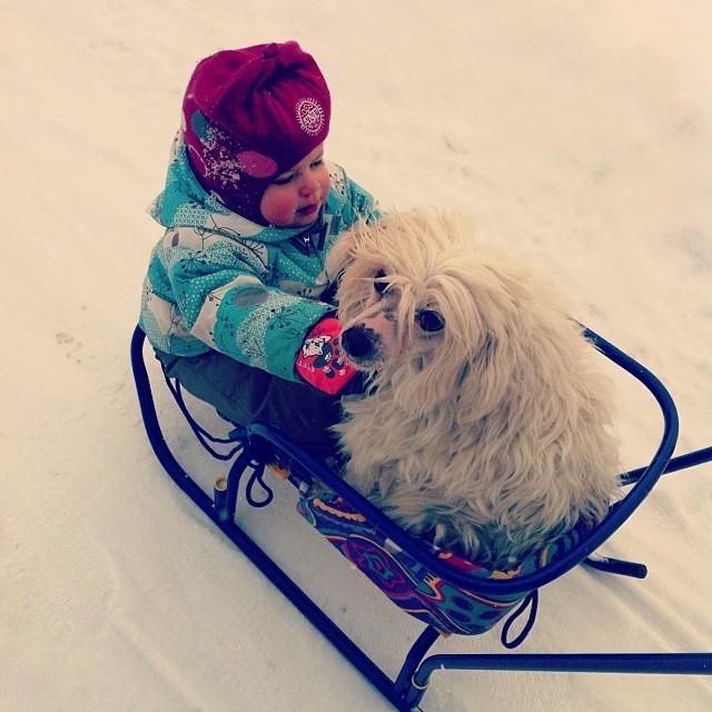 1 год и 3 месяца.