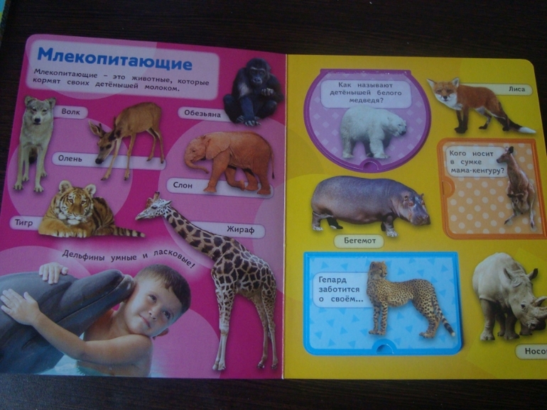 Книги по низкой цене в Май-шоп (живые фото)