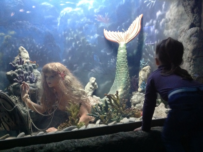 Океанариум в ТЦ Рио на Дмитровке