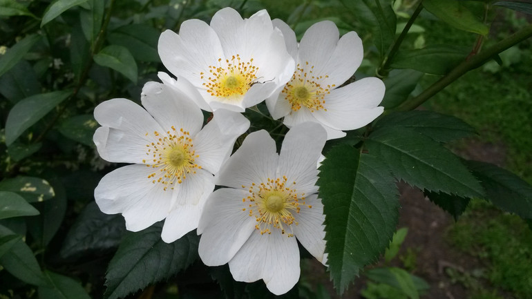 Для хорошего настроения:)