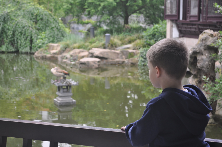 Гулялки по Германии