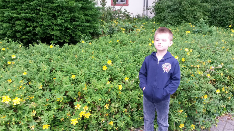 Для хорошего настроения:)