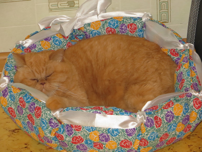 Лежанка для кошки.