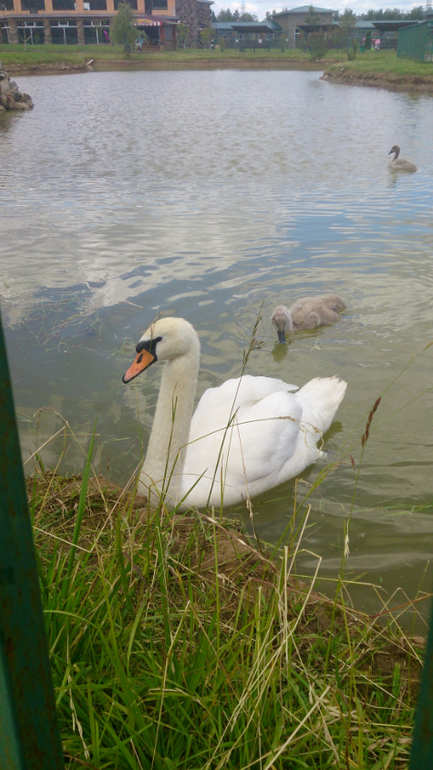Поездка в Экзотик-парк