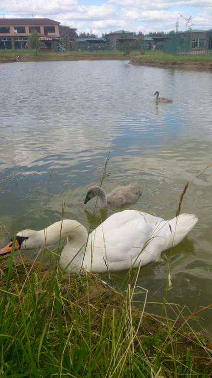 Поездка в Экзотик-парк