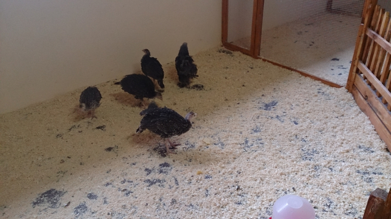 Поездка в Экзотик-парк