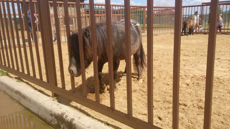 Поездка в Экзотик-парк