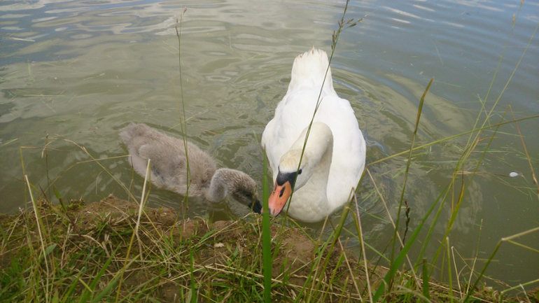 Поездка в Экзотик-парк