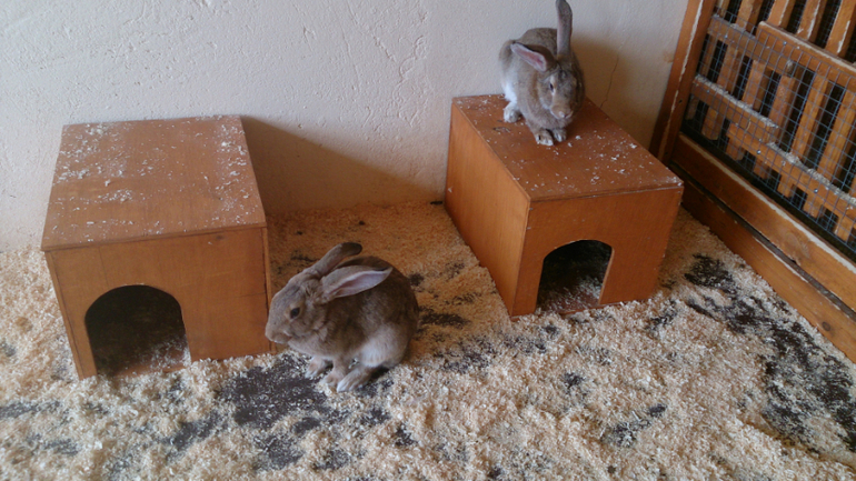 Поездка в Экзотик-парк