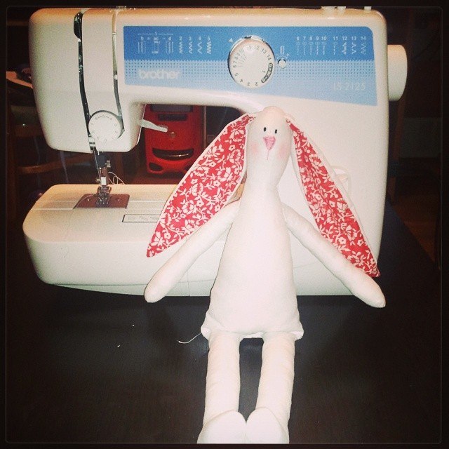 Мой первый зайчик!