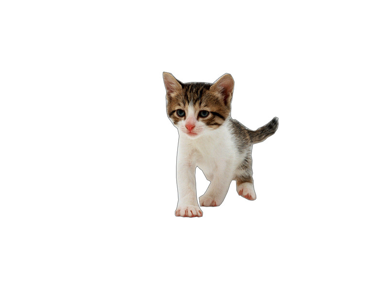 Контрольная работа № 3 "Слои"